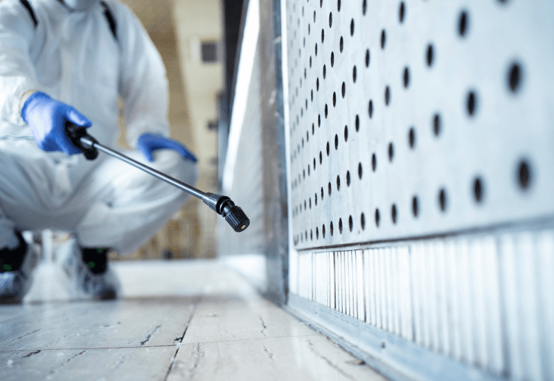 Electrostatic Disinfection Service